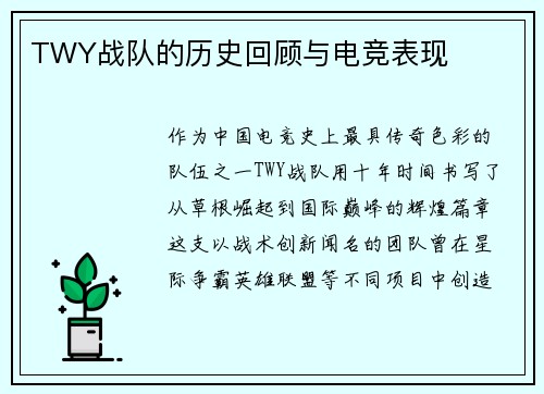 TWY战队的历史回顾与电竞表现