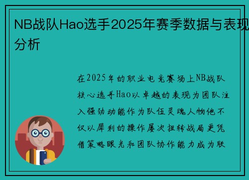 NB战队Hao选手2025年赛季数据与表现分析